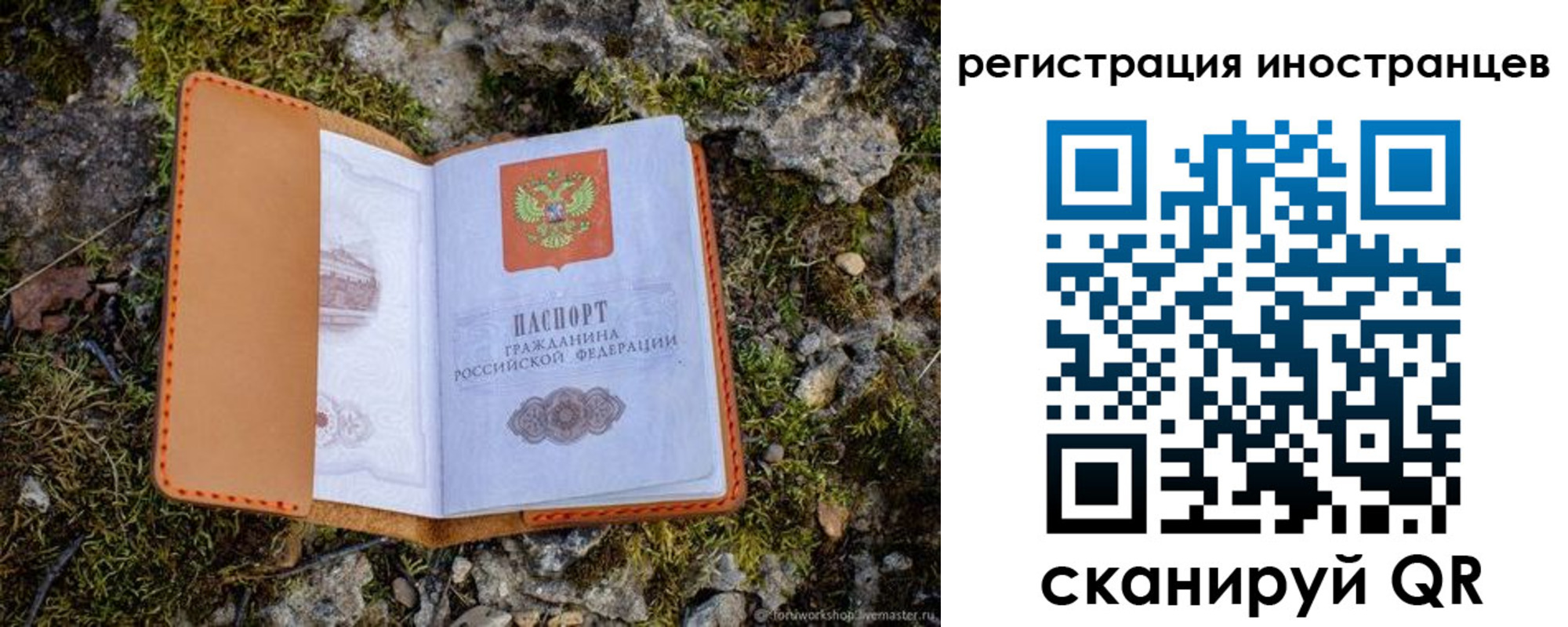 прописка паспорт в Рассказово